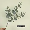 Hojas de Dinero Simuladas, Ramas de Eucalipto, Hojas Redondas, Hojas de Eucalipto, Plantas Simuladas, Plantas Verdes, Arreglos Florales para Bodas en Casa