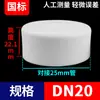 20 Tapones y Tapones para Tubería R4, R6, Tapones de 1 Pulgada, Tapones Termofusibles, Cubiertas para Tubería de PP, Accesorios, Conectores para Tubería de Agua, Accesorios para Tuberías