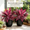 Folhas artificiais da Amazon para decoração transfronteiriça: árvore sangramento de dragão simulada, folha de madeira brasileira, samambaia ninho de pássaro e folhas artificiais verdes