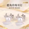 Nuevo Lindo Conjunto de Perlas de Ternero Hermosos Pendientes de Perla Estilo Coreano Estilo ins Collar de Perlas Fábrica de Origen