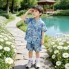 Conjunto de Camisa de Manga Curta de Verão para Meninos 2026 Novo Estilo Estilo Férias de Verão Infantil Conjunto Casual de Duas Peças Fino e da Moda