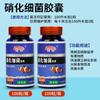 Cápsula de Bacterias Nitrificantes Activas Purificador de Agua para Acuario Alta Concentración de Bacterias Nitrificantes Tanque de Aire Acuario Purificación de Agua Clara