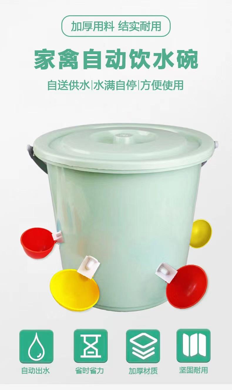 详情页 (1).jpg