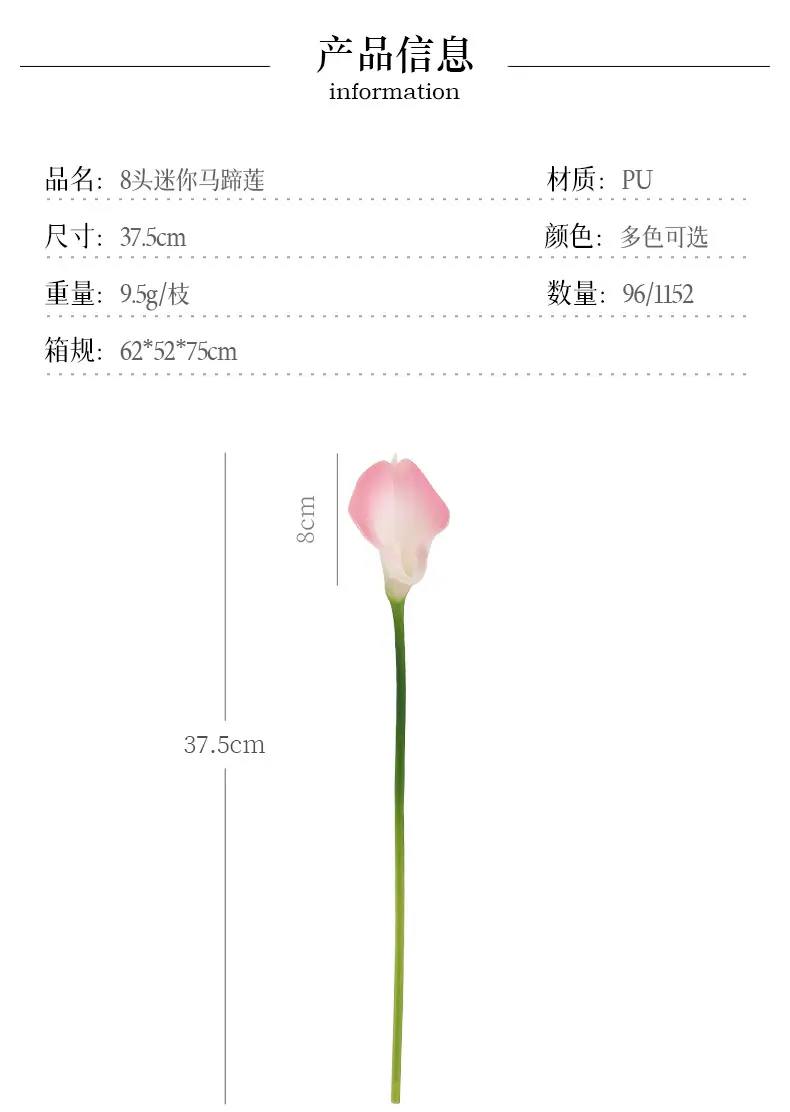 8头迷你马蹄莲_03.jpg
