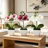 Mini 3 orquídeas artificiales Phalaenopsis en macetas aterciopeladas, suministro de exportación directa, flores artificiales de tacto realista, bonsái, accesorios para fotografía