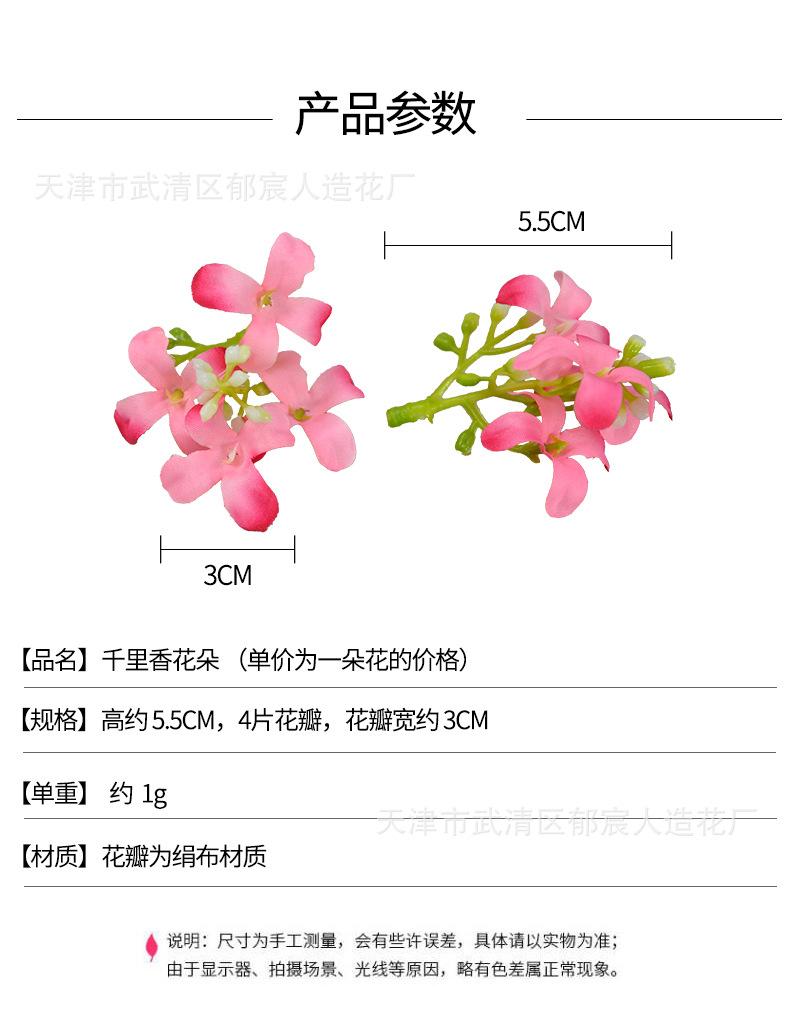 详情_01.jpg
