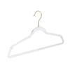 Celebridad de Internet Acrílico Lindo Cristal Percha de Ropa Ropa de Mujer Sin Costuras Hogar Plástico Transparente Tienda de Ropa Polvo Dorado Tendedero