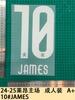 24-25 Leon Casa Roupa de Adulto A+ 10 # James Número da Camisa Letra Número para Transferência Térmica Adesivo para Transferência Térmica