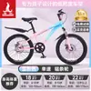 Bicicleta Infantil Phoenix para Niñas de 6-12-15 Años, Adolescentes, Niños Mayores, Bicicleta de Montaña con Cambios para Estudiantes