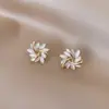 Brincos de Pétala Olho de Gato Franceses Estilo Coreano Simples Elegantes Nicho Alto Padrão Brincos Atacado Brincos Galvanizados a Ouro Real