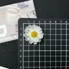 Charms Crocs DIY Flores para Sapato Fivelas de Sapato Atacado Margaridas Pequenas Frescas Flores Gradiente de Cristal Decoração Destacável para Cabedal de Sapato
