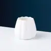 Uau, estes garfos de fruta são para uso doméstico, com um visual de alta qualidade.. Conjunto de garfos de fruta em aço inoxidável com um pote de cerâmica de armazenamento de luxo leve