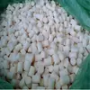 Limpieza de Tuberías Esponja Blanca Cilindro Espuma de Alta Densidad Columna de Esponja Sólida Esponja Absorbente Palo Largo de Esponja