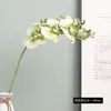 Flor artificial de alta calidad de 7 cabezas de phalaenopsis orquídea artificial arreglo floral bonsái para sala de estar decoración de vacaciones boda flor