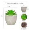 Planta en Maceta Artificial Mini Transfronteriza Hecha a Medida Adornos de Escritorio Bonsái Suculento de Simulación Flor Artificial Planta Verde Pulpa Suculenta Planta en Maceta