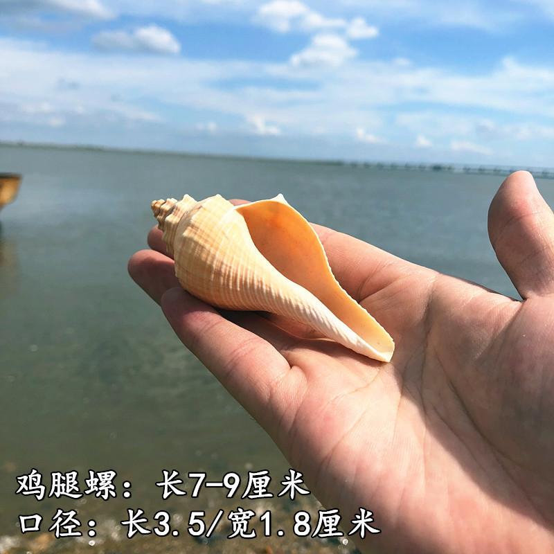 QQ图片20190901111617.jpg