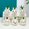 Vaso de cerâmica criativo com animal de desenho animado para planta suculenta, simples, moderno, para jardinagem, combinação fofa de coelho, planta em vaso mini