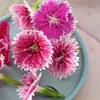 Decoração de Apresentação Flor Sashimi Estilismo Planta Fresca Restaurante Frutos do Mar Empratamento Prato Frio Shou