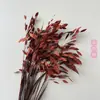 Hierba Xiao Pan Flor Eterna Yunnan Fábrica de Flores Secas Venta al por Mayor Nuevos Clientes Disfrutan de Buenos Regalos Regalo de Navidad Accesorios para Sesiones de Fotos