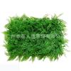 Teto de grama artificial porta placa de porta grama verde planta verde decoração planta de parede flores e plantas grama artificial de plástico parede