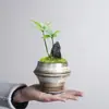 Vaso de Cerâmica para Flores de Mesa Interna, Exclusivo Vaso Pequeno com Suculentas para Escritório, Sala de Estar, Uso Doméstico, Vaso Pequeno Criativo para Orquídeas Suspensas