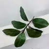 Venta al por mayor transfronteriza Planta verde simulada Magnolia Cinta Adornos decorativos Maceta Paisajismo Arreglo floral Hojas de magnolia simuladas