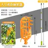 El artefacto para recoger fruta se puede conectar al poste largo telescópico para recoger níspero, caqui, mirto, manzana, longan, azufaifa, albaricoque, nuez, fruta
