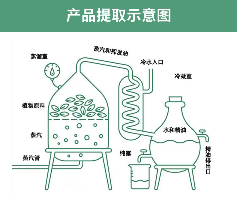 详情页迷迭香_10