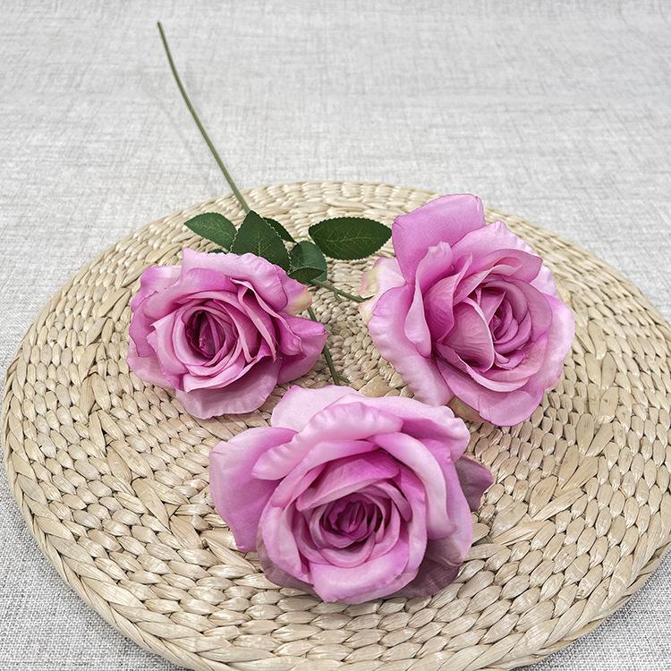 3头大月季玫瑰-exxhx-浅紫.JPG