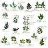 Productos de Venta Caliente Transfronterizos: Varios Estilos de Hojas de Rosa, Plantas Verdes Artificiales, Hojas de Plantas Acuáticas, Arreglos Florales Hechos a Mano para Bricolaje, Accesorios de Decoración para Paredes de Flores