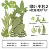 Espécimes de Plantas com Folhas Reais de Outono, Adesivos Artesanais, Flores Secas, Flores Prensadas, Pinturas Decorativas de Folhas DIY, Marcadores de Página de Plantas