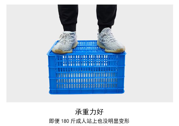 筐_06.jpg