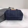 Bolso de Mezclilla para Mujer 2025 Otoño Nuevo Diseño de Nicho Bolso Cruzado Estilo Coreano Estilo Extranjero Bolso Bandolera Bolso Almohada