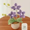 Planta en Maceta de Lana de Orquídea de 5 Pétalos y 3 Cabezas Hecha a Mano con Ganchillo, Producto Nuevo Transfronterizo, Decoración Creativa, Flor Inmortal, Bonsái