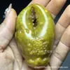 Tesouro de Jade Ouro 0kg Garra de Caranguejo Esculpida Pingente de Jade para Segurar na Mão Peça de Exibição Colecionável Venda por Atacado de Vendedor de Rua