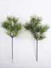 Pino Negro Falso, Pino Cola de Caballo, Abeto, Pino de Cinco Agujas, Arborvitae, Ramas de Pino, Acículas de Pino, Hojas Verdes de Tuya Atrezzo