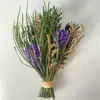 Mini pequeno flor seca vaso seco arranjo de flores buquê de flores secas decoração de casa decoração de loja padrão de decoração de porta-retrato de flor seca
