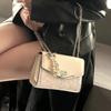 Bolso Pequeño Cuadrado para Mujer Bolso de Hombro Estilo Coreano Bolso Cruzado para Teléfono Móvil Moda de Nicho Bolso de Hombro Bolso de Maquillaje para Mujer