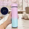 Termo Taza Termo de Acero Inoxidable 316 Taza de Agua Inteligente para Hombres y Mujeres Separación de Té y Agua Taza de Regalo de Alto Valor Venta al por Mayor