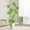 Forma Pie de Pato Madera Sala de Estar Maceta Grande Planta Verde Interior Sala de Estar Grande de Pie Flor Real Pila Vieja Pie de Pato Madera