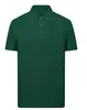 Polo de algodón para primavera y verano, con logotipo personalizado y solapa bordada, ropa de trabajo, camiseta publicitaria, ropa de grupo hecha a medida.