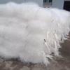 Relleno elástico tridimensional diseño de material filtrante Pengcheng fibra elástica tridimensional razonable rendimiento confiable venta a bajo precio
