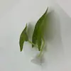 Decoración de Paisajismo para Acuario, Hojas de Descanso para Betta, Lecho de Puesta, Paisaje para Tanque de Reptiles, Plantas Artificiales, Plantas Acuáticas, Venta al por Mayor Transfronteriza