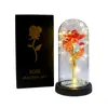 Regalo de San Valentín para Novia Luz Nocturna de Rosa Luz LED Cubierta Acrílica Caja de Regalo con Lámina Dorada Regalo de Navidad