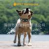 El Nuevo Dispositivo de Entrenamiento para Perros con Control Remoto de Smartpet es Impermeable y Antiladridos, Control de Larga Distancia Collar Antiladridos Automático para Mascotas