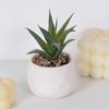 Simulación de planta suculenta, cactus, flores artificiales falsas, planta verde, pared, decoración interior del hogar, pequeños adornos combinados