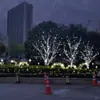Puntos Fotográficos Emblemáticos Románticos Urbanos, Luces de Estrellas, Iluminación Exterior de Calle, Instalaciones de Iluminación Hechas a Medida