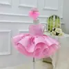 Comercio Exterior Transfronterizo Vestido de Princesa Rosa con Lentejuelas para Niña Dulce Estilo Ballet Lazo Desfile de Moda Vestido con Falda Abullonada