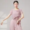 Disfraz de mariposa de malla para danza clásica, conjunto de entrenamiento para bailarinas, disfraz de danza moderna para mujeres, talla de adulto