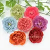 Flores de Peonía Estilo Tang Simuladas, Hanfu Estilo Antiguo, Accesorios para el Cabello de Peonía Estilo Chino, Caja de Flores, Caja de Regalo con Flores, Sombrero de Erudito